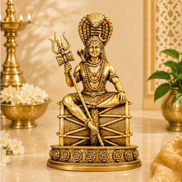 Divine Nageshwar Mahadev Ji Idol for Home & Office