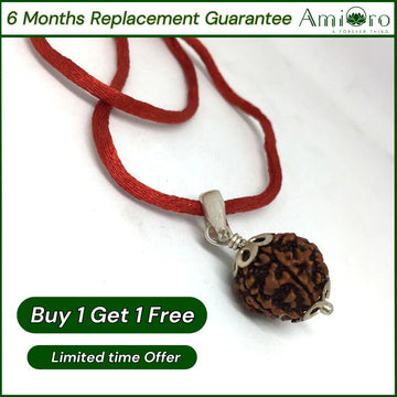 7 Mukhi Nepali Rudraksha - Certified & Lab-Tested for Blessings & Prosperity